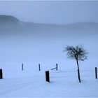 Blaue Langlauf-Stunde