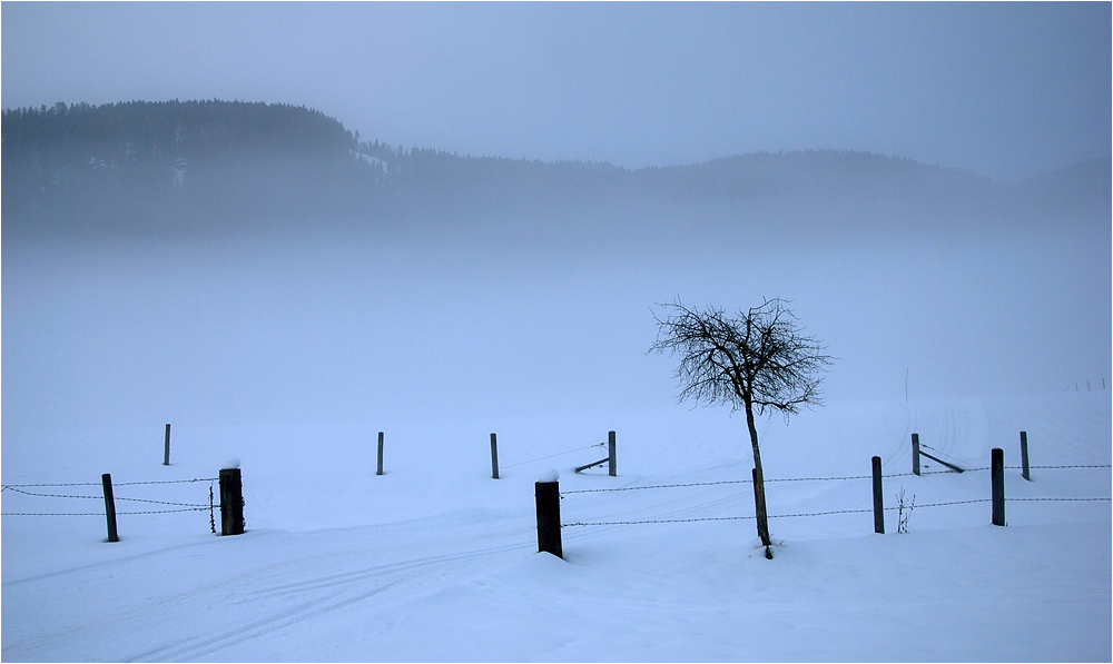 Blaue Langlauf-Stunde