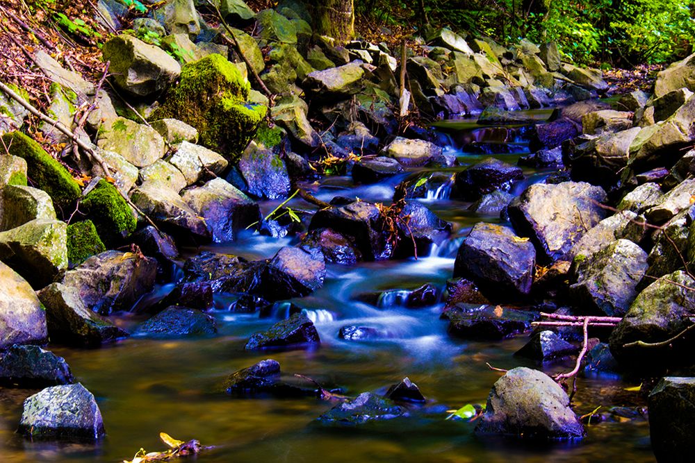 Blaue Magie von SteAl-Photography 