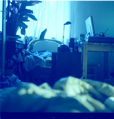 Blaue Mittelformatscheisse von meinem Heimarbeitsplatz in Wellingsbüttel