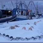 Blaue Morgenstunde in Burgstaakens Hafen