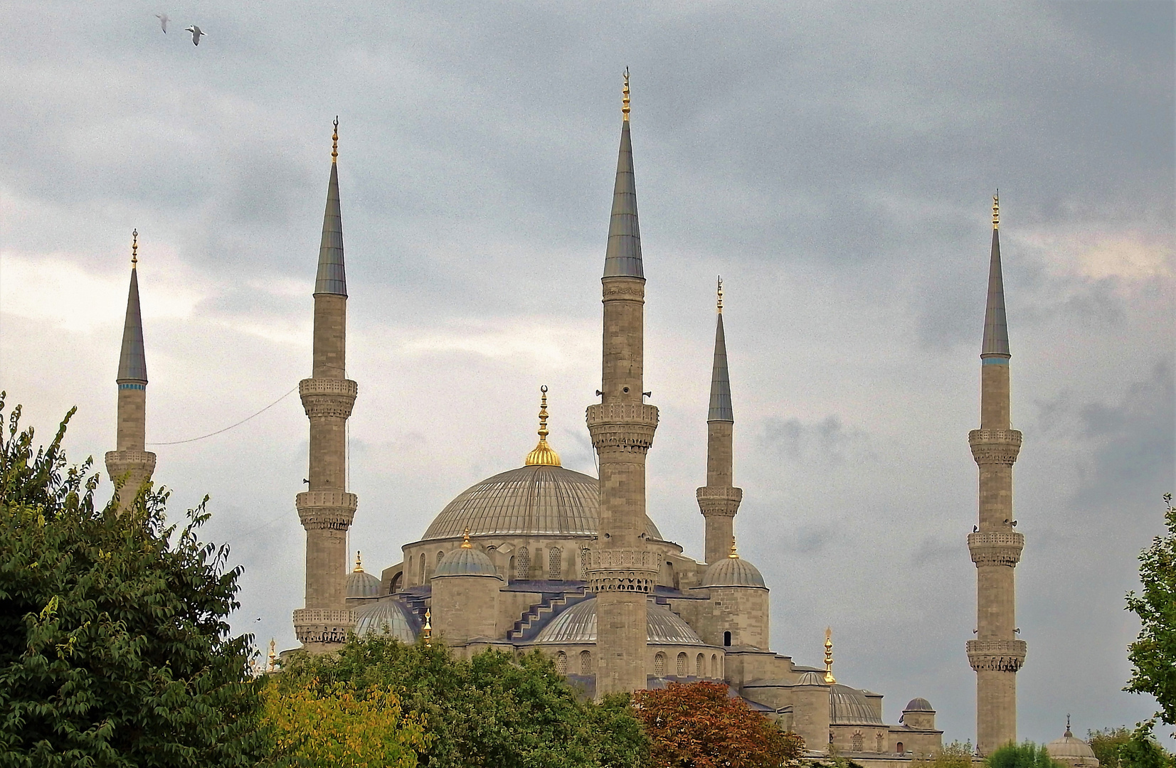 Blaue Mosche in Istanbul