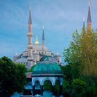 Blaue Moschee