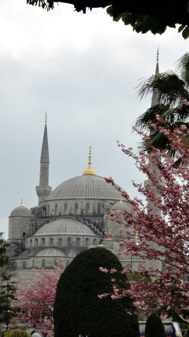 Blaue Moschee