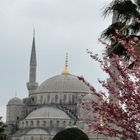 Blaue Moschee