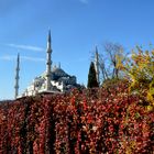 Blaue Moschee