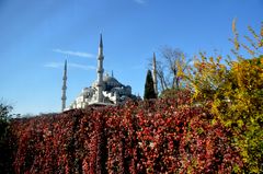 Blaue Moschee