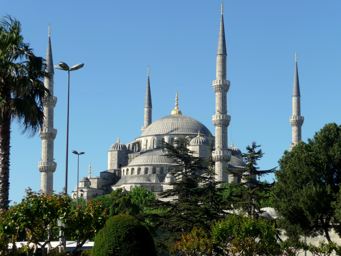 Blaue Moschee