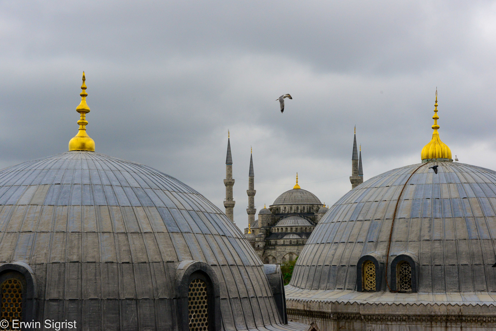 Blaue Moschee aus der Hagia Sophia (Istanbul / Türkei)