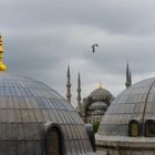 Blaue Moschee aus der Hagia Sophia (Istanbul / Türkei)