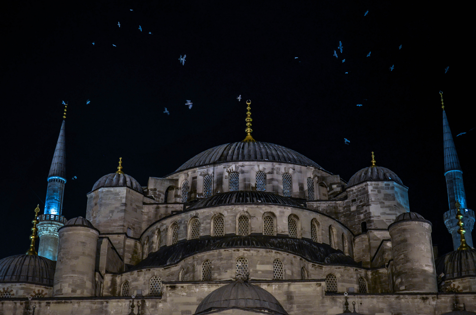 Blaue Moschee bei Nacht