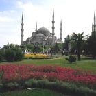 Blaue Moschee in Istanbul