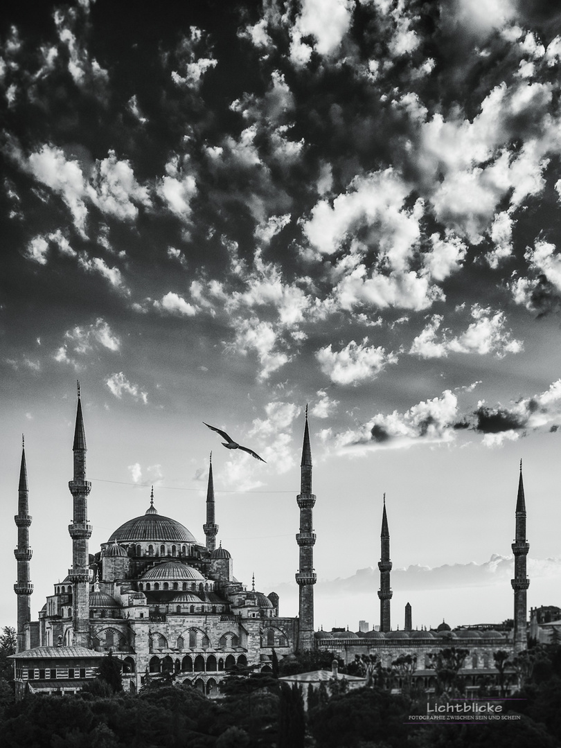 Blaue Moschee_01