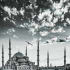 Blaue Moschee_01