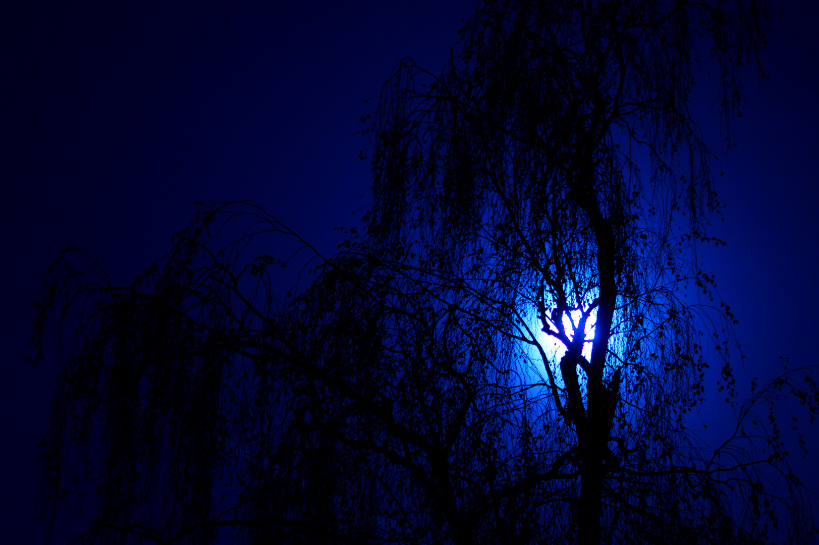 Blaue Nacht I