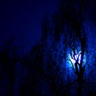 Blaue Nacht I