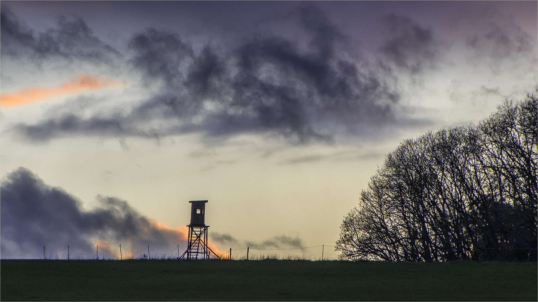 blaue novemberstunde