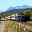 Blaue Österreicherin in Bayern