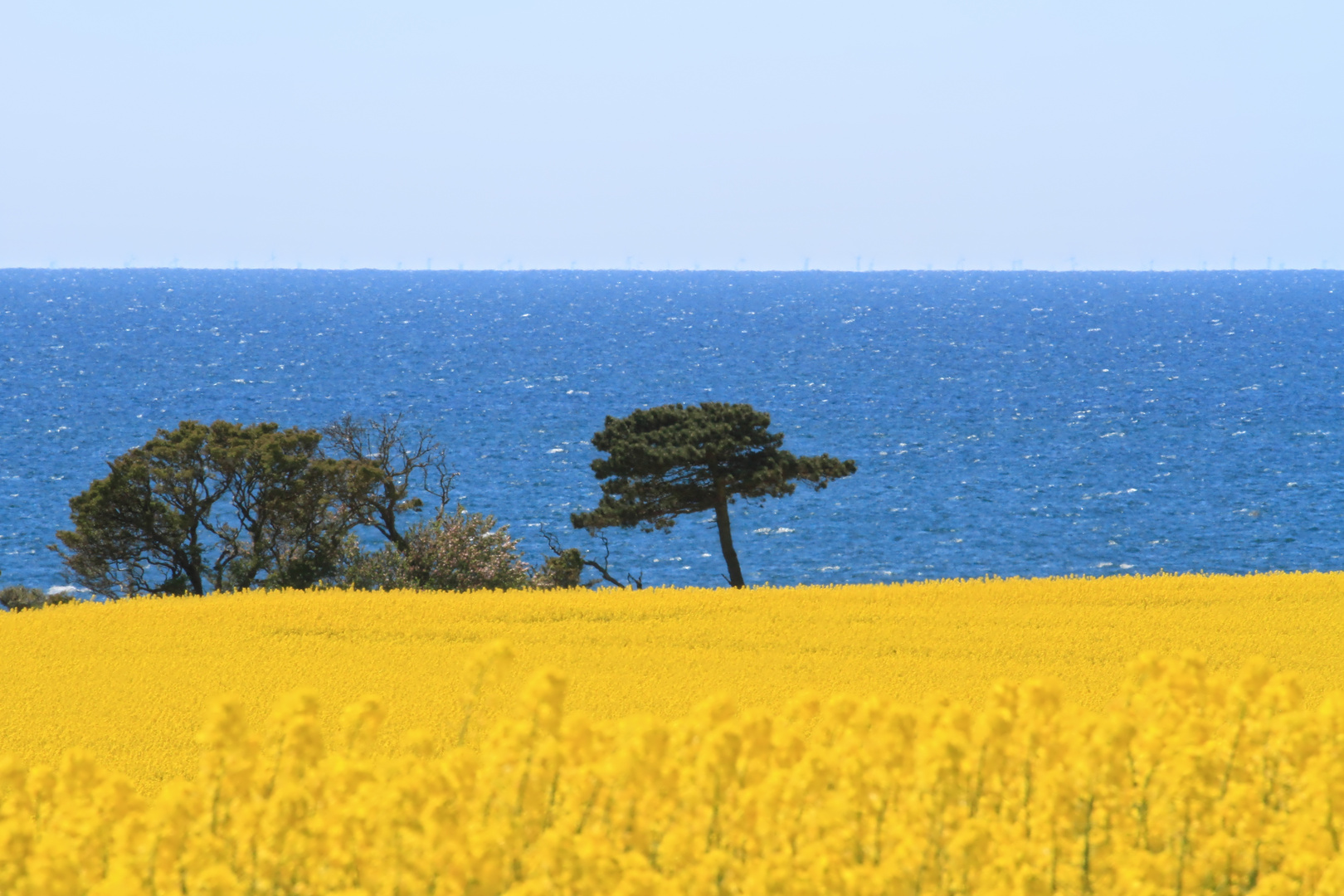 blaue Ostsee