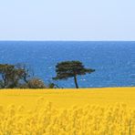 blaue Ostsee