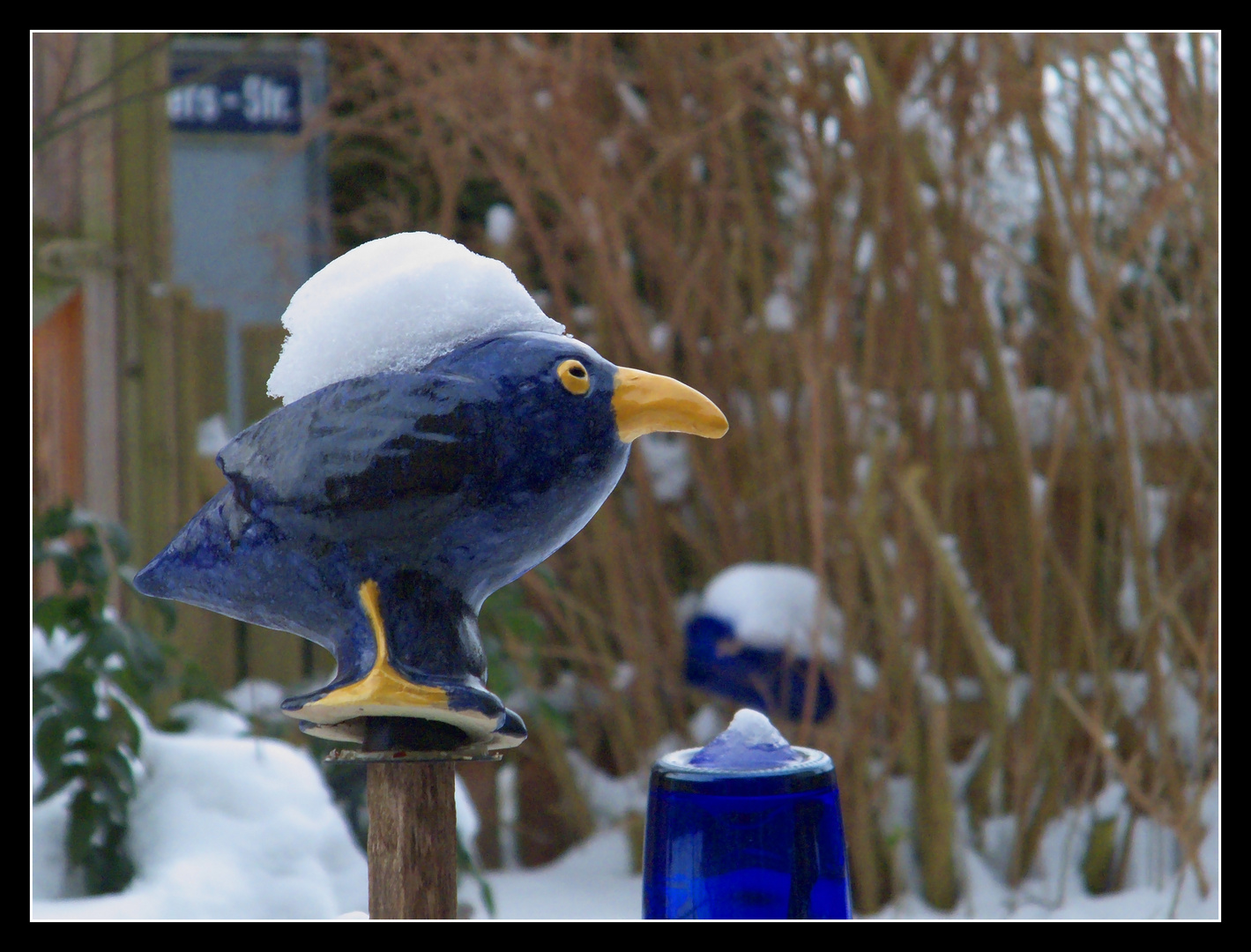 Blaue Phase...