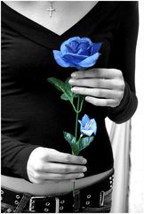 Blaue Rose