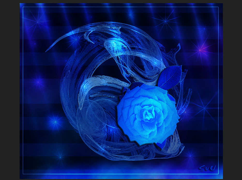 Blaue Rose