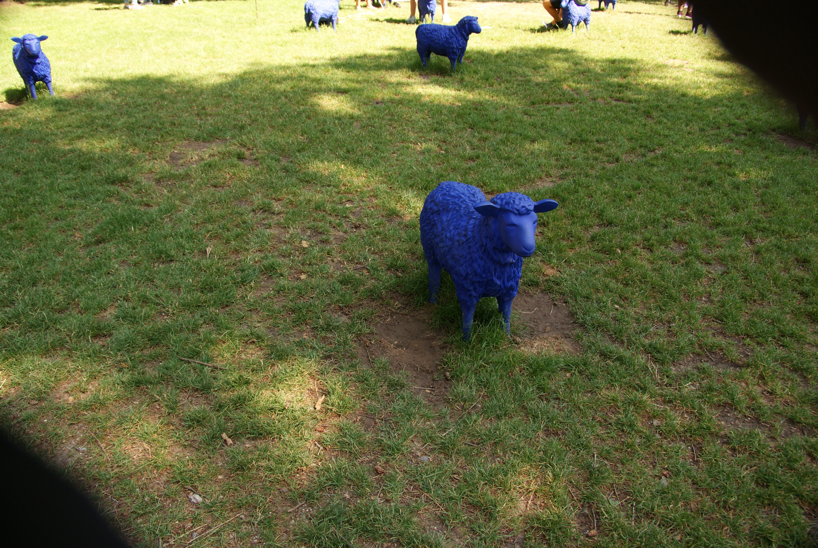 blaue Schafe Bad Lippspringe Gartenschau