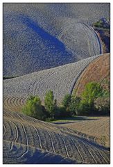 Blaue Schatten