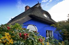 Blaue Scheune auf der Insel Hiddensee 