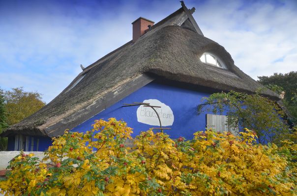 Blaue Scheune Herbst 2025