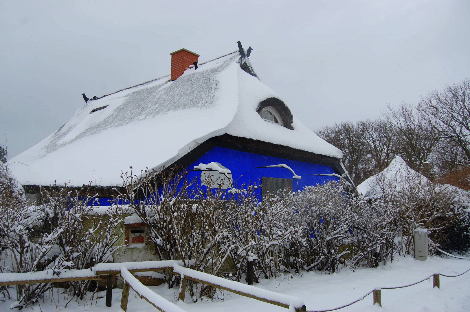 Blaue Scheune im Winter leuchtet erst so richtig Blau