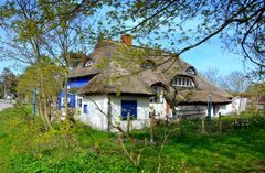 Blaue Scheune Insel  Hiddensee 