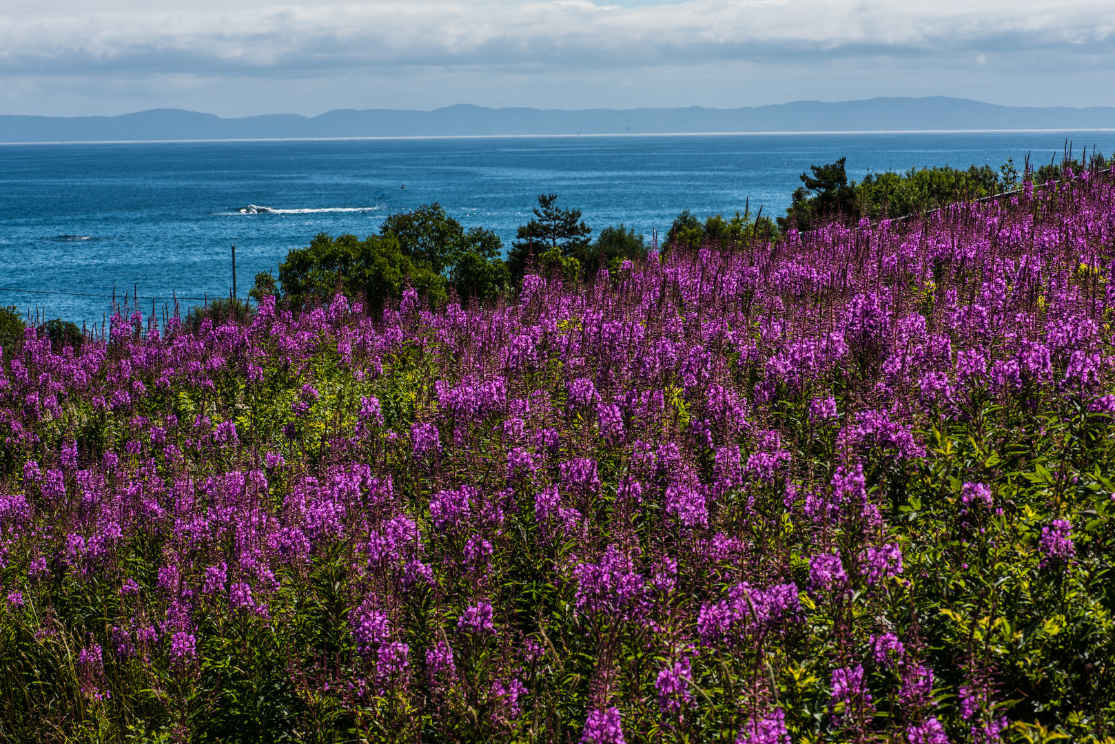 Blaue See                                       DSC_3736