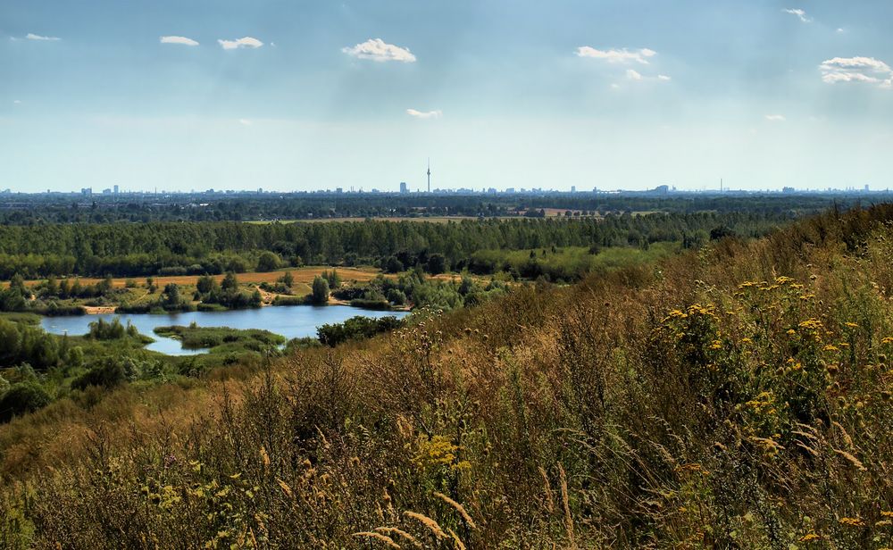 Blaue Skyline inmitten der Natur