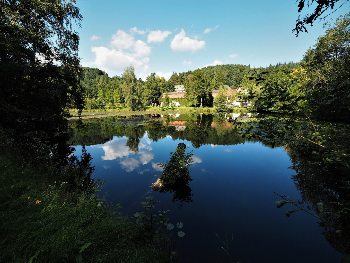 blaue Spiegelnatur