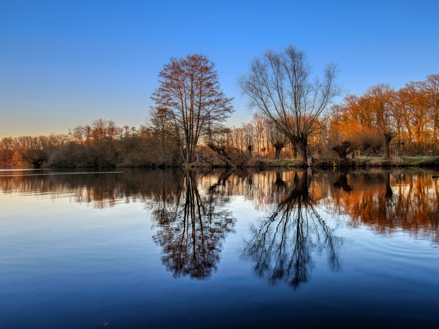 Blaue Stille 