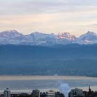 Blaue Stude, Zürich vor dem Alpenpanorama