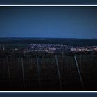 Blaue-Stünde im Rheingau