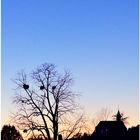 Blaue Stunde (1)