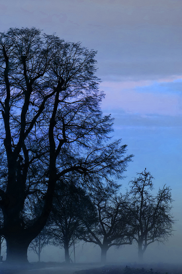 Blaue Stunde 17.23