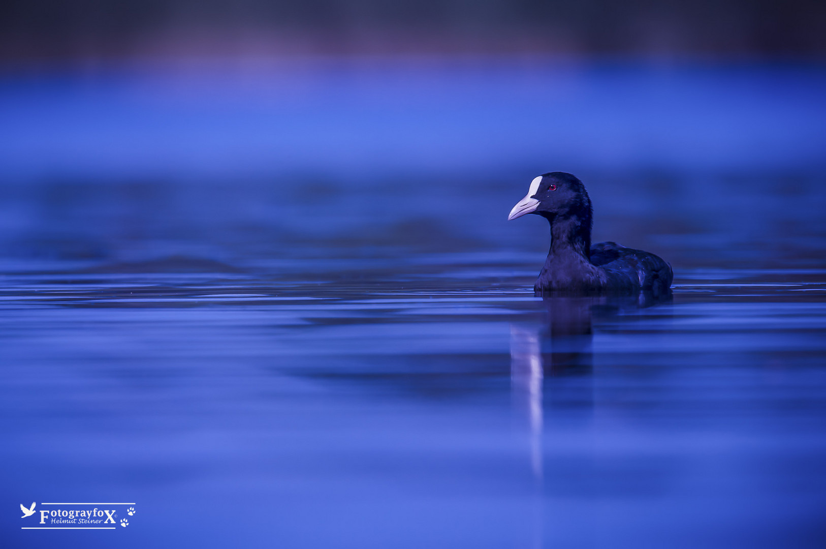 Blaue Stunde