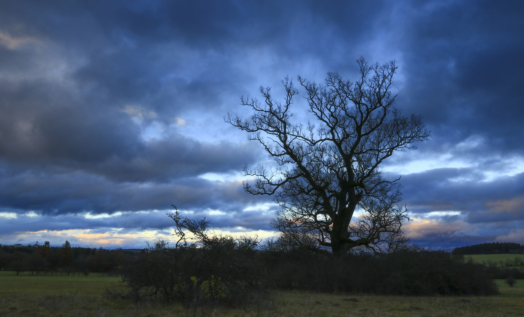 Blaue Stunde 2