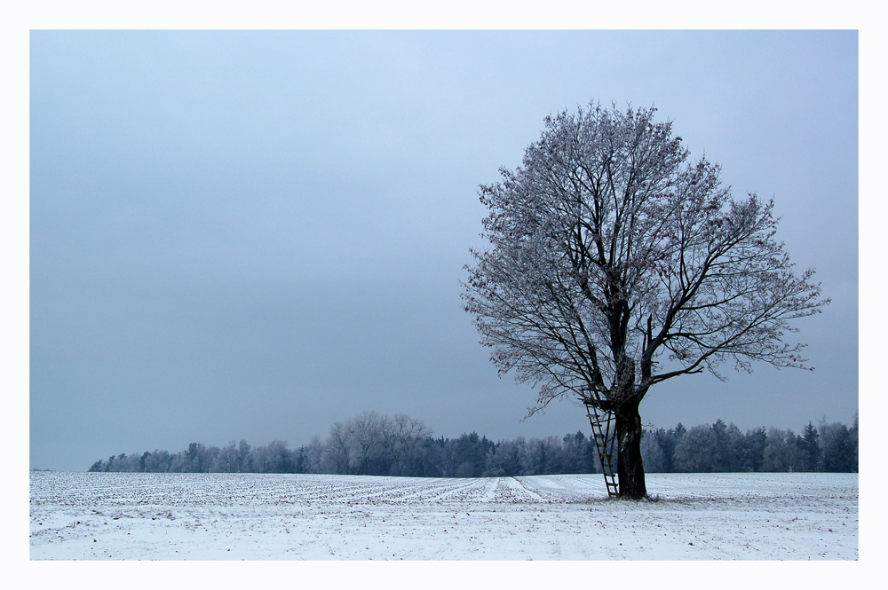 Blaue Stunde