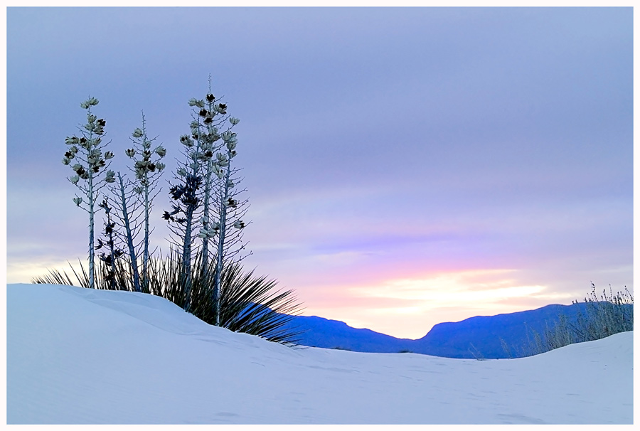 Blaue Stunde...