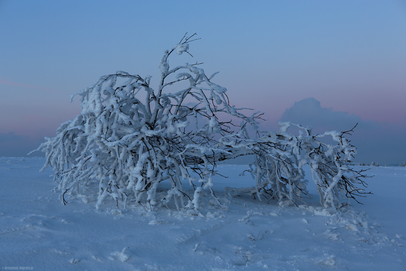 Blaue Stunde