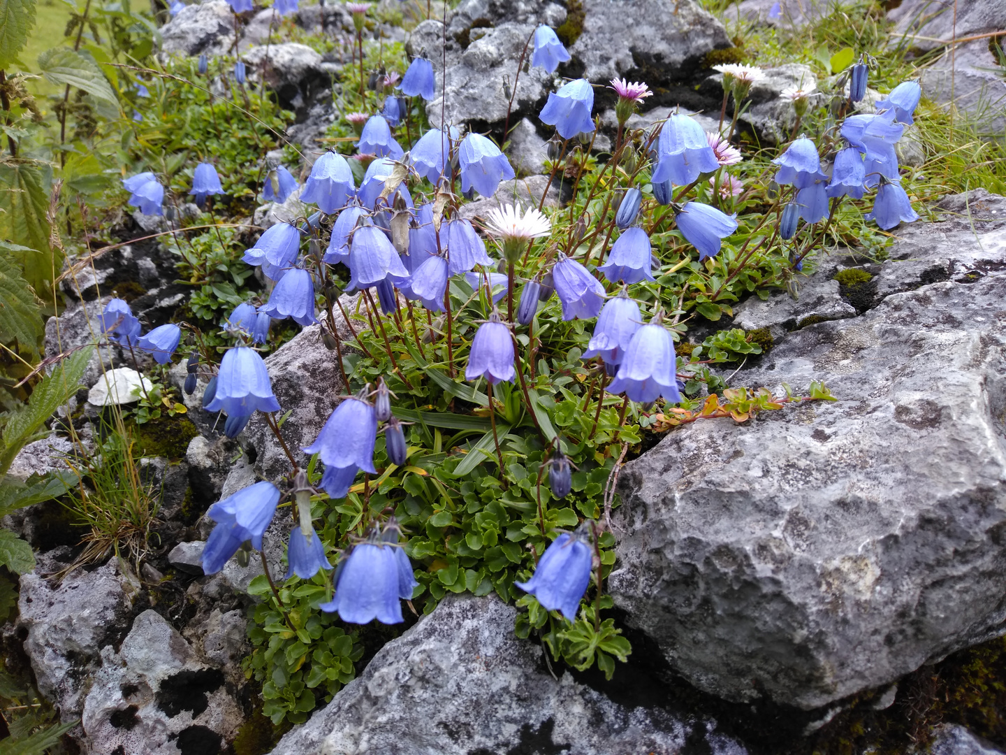 Blaue Stunde :-)