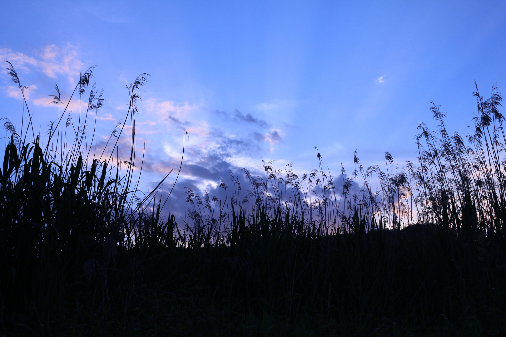 Blaue Stunde