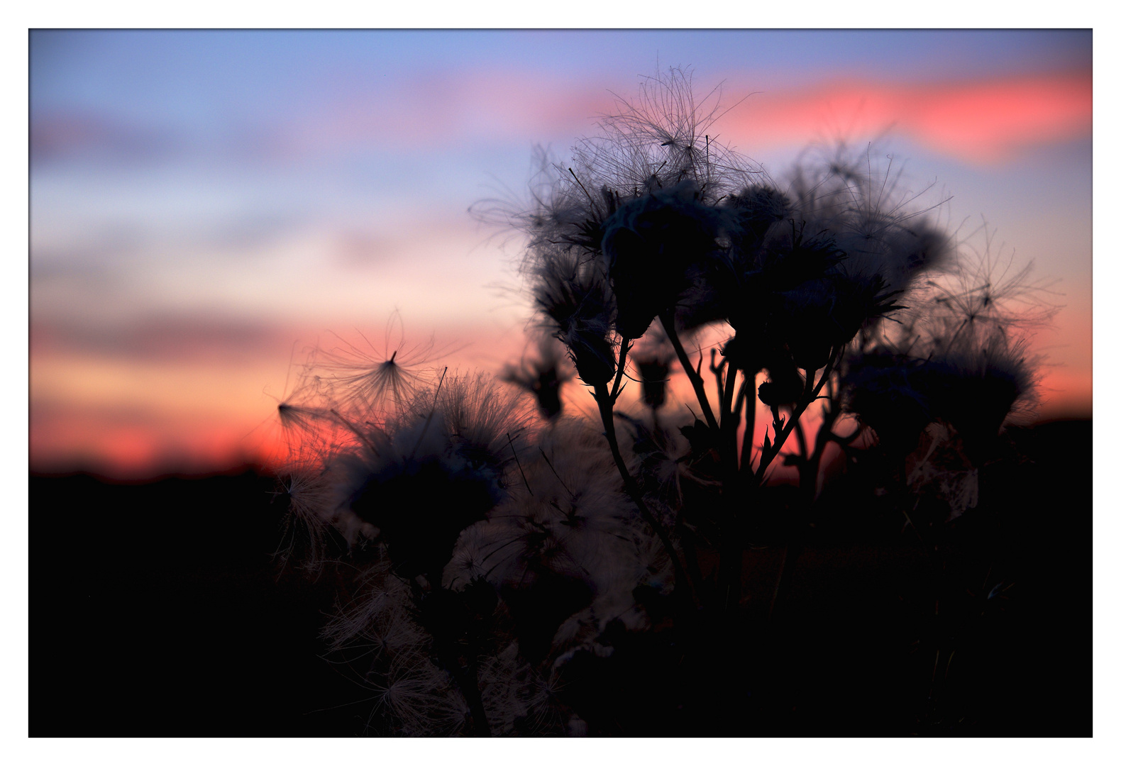 Blaue Stunde