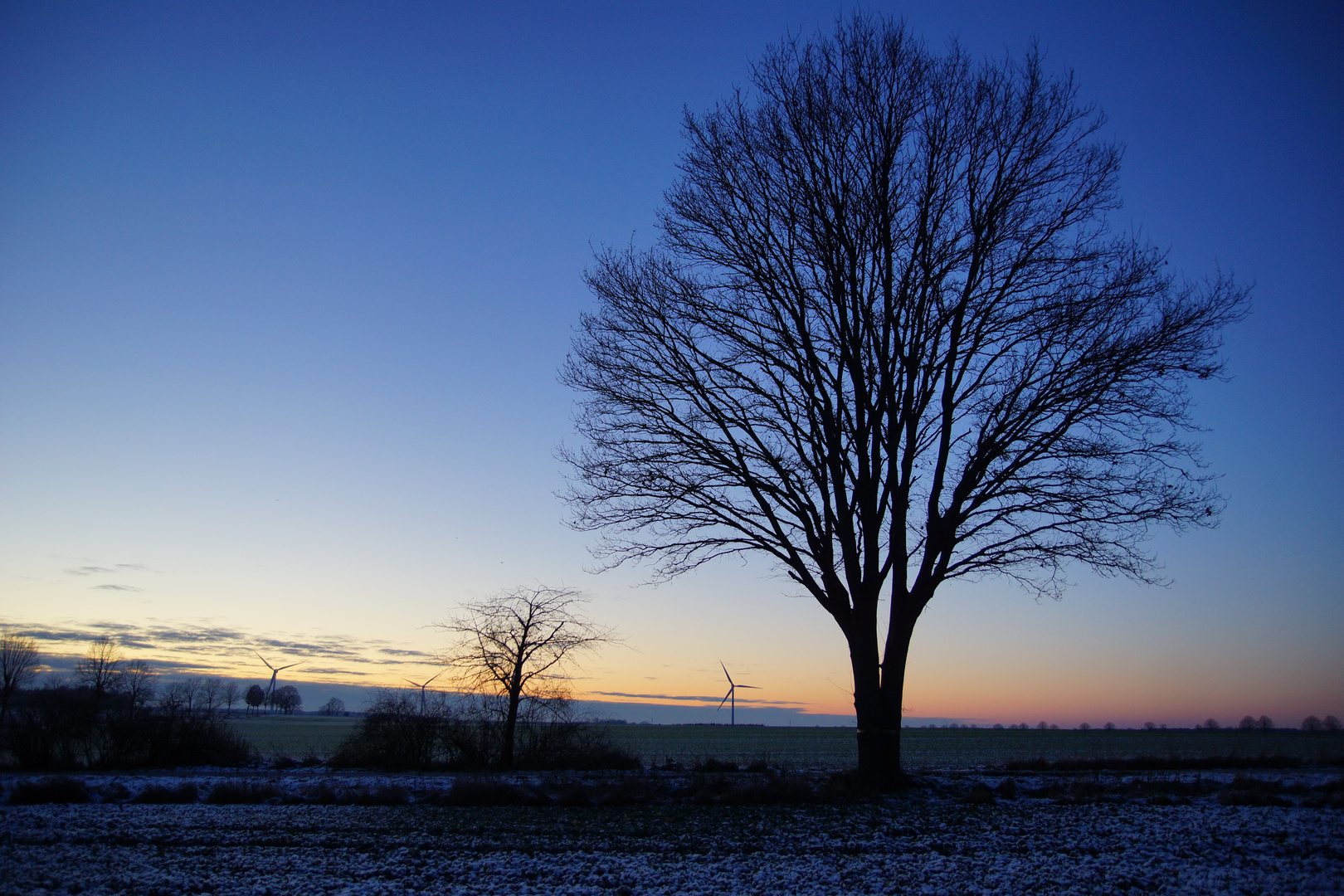 blaue stunde